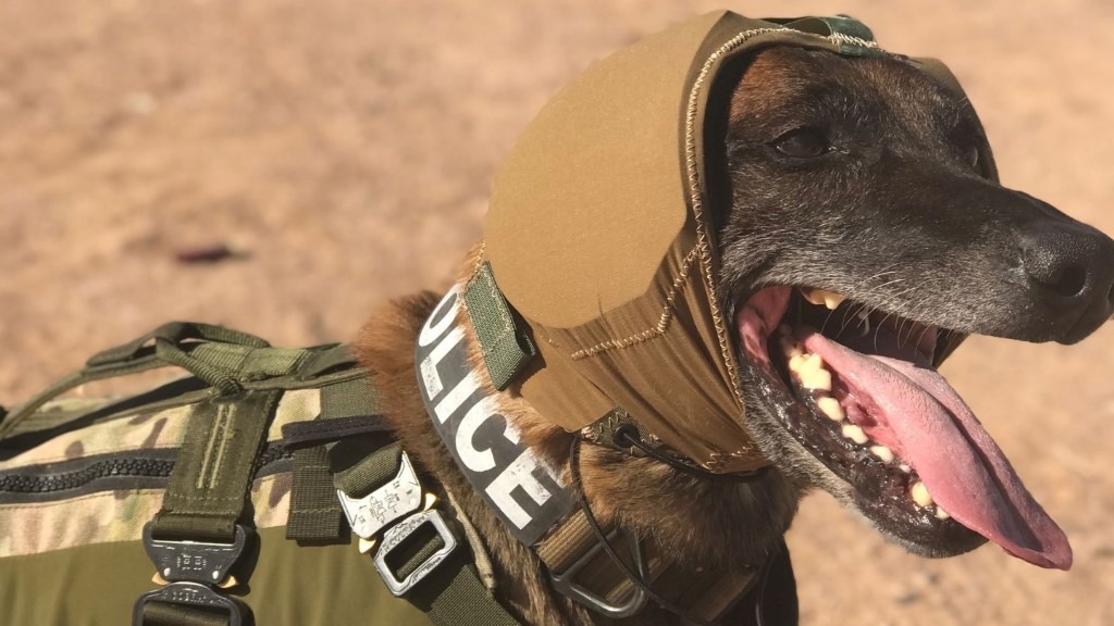 犬類聽覺保護系統乍看像是一個頭巾，卻能有效隔絕噪音，讓軍犬能更安全有效地值勤。 圖片來源／Zeteo Tech