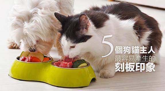 哈寵誌/提供