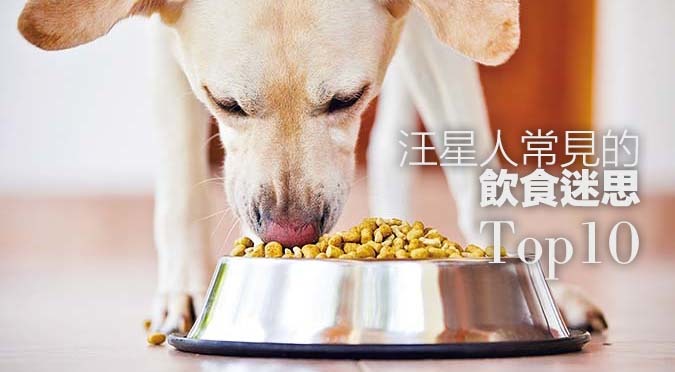 哈寵誌/提供(以下皆同)