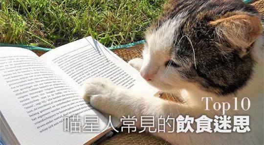 哈寵誌/提供(以下皆同)