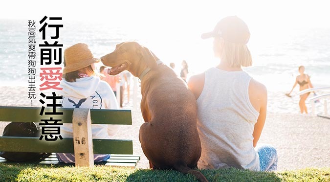 帶狗狗出門前飼主要先做足準備。哈寵誌/提供