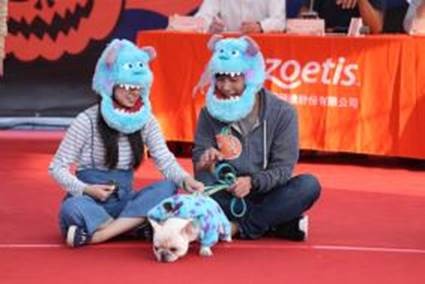 飼主和寵物一起變裝搞怪。雨林/攝