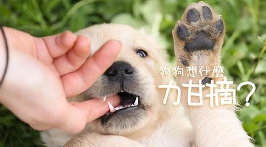哈寵誌/提供(以下皆同)