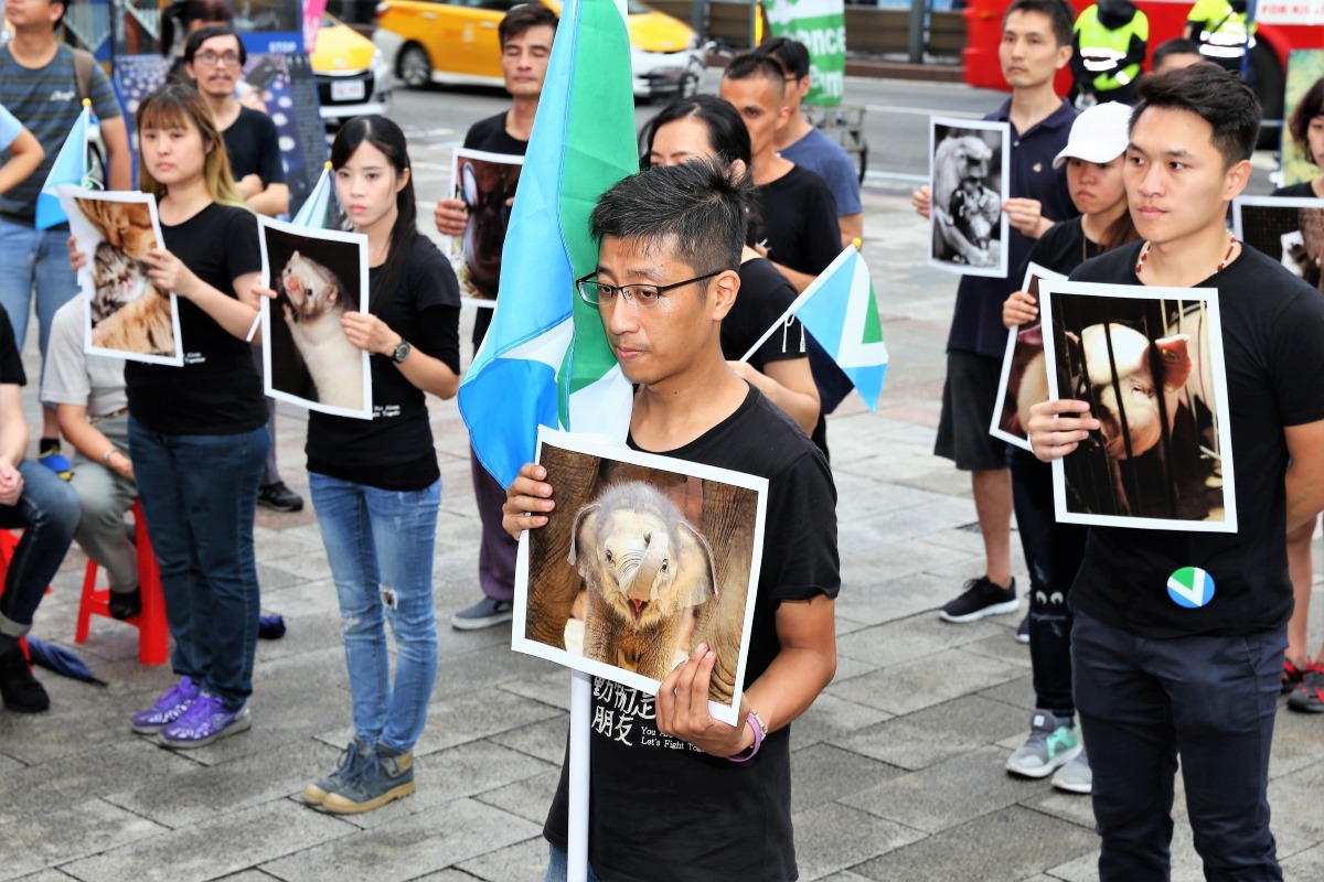 主辦單位希望透過活動傳達茹素能對動物、對環境帶來直接、巨大的幫助。雨林/翻攝