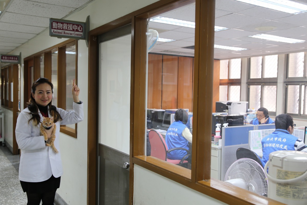 新北市首創全國第一個動物救援中心，24小時服務不打烊。劉凱/翻攝