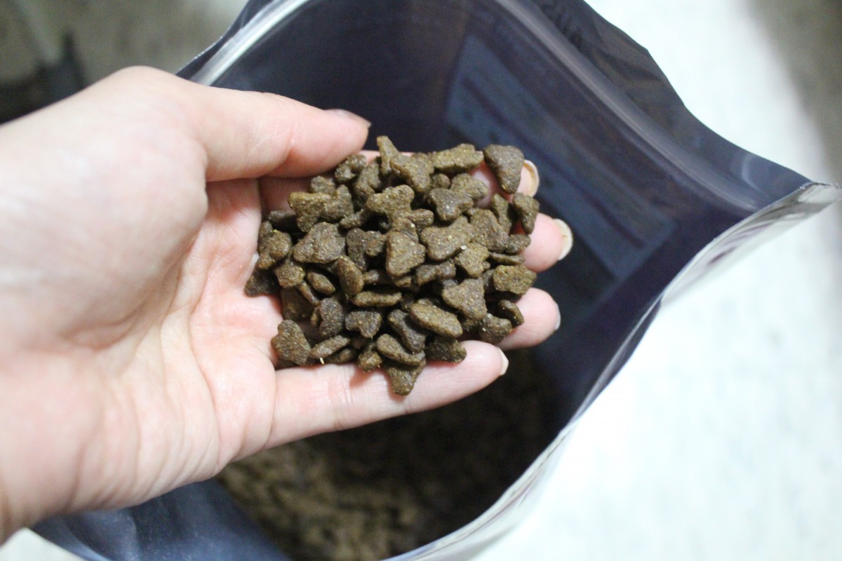 來自澳洲的阿拉卡特澳洲天然糧主打專為挑嘴寵物設計的法式料理。廠商/提供