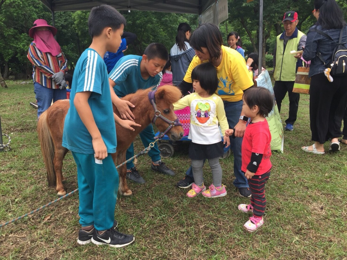 同樣的馬與不同的人的互動,馬會呈現完全不同的行為樣貌。台灣兒童發展協會馬匹輔助教育中心/提供