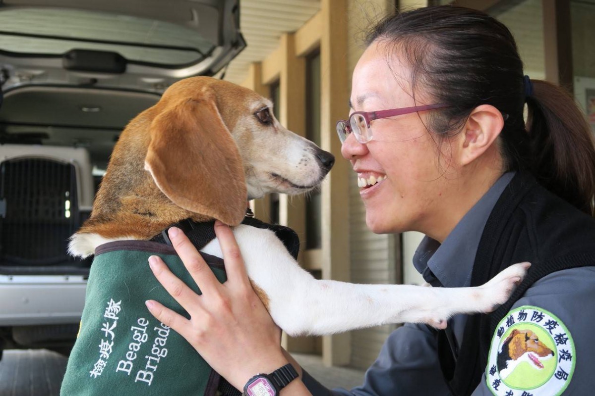 檢疫犬Mini與領犬員。防檢局/提供