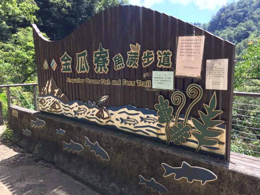 金瓜寮觀魚蕨類步道。新北市農業局/提供
