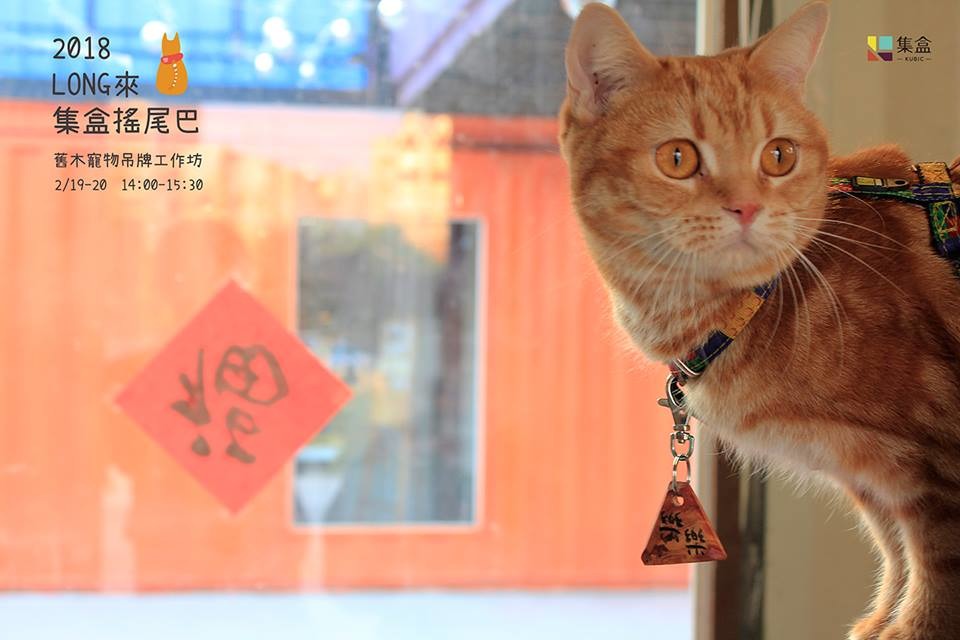 活動結合寵物講座、業者、餐飲…等，邀飼主帶毛孩一同參與。主辦單位/提供