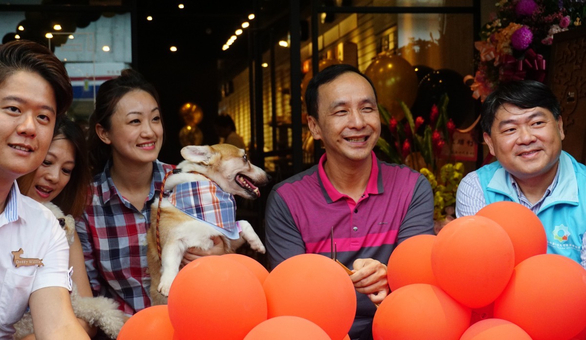新北市推動動物友善政策，目前有11間觀光工廠及產業文化館提供寵物入館遊逛。雨林/翻攝