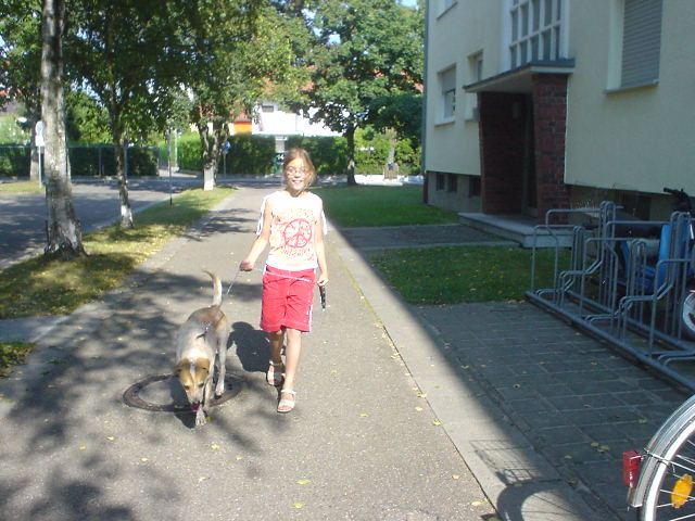 動物與小孩天生就是好朋友。劉威良/提供