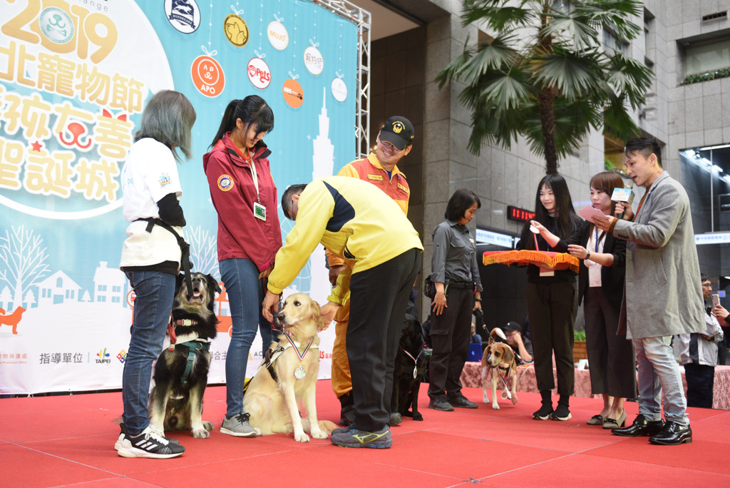 台北市長柯文哲致贈感謝勳章予檢疫犬、搜救犬、校園犬、狗醫生、導盲犬，感謝牠們一年來的辛勤付出。台北市政府/提供