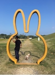 米菲兔主題公園，跟毛寶貝一起遊樂。新北市政府/提供