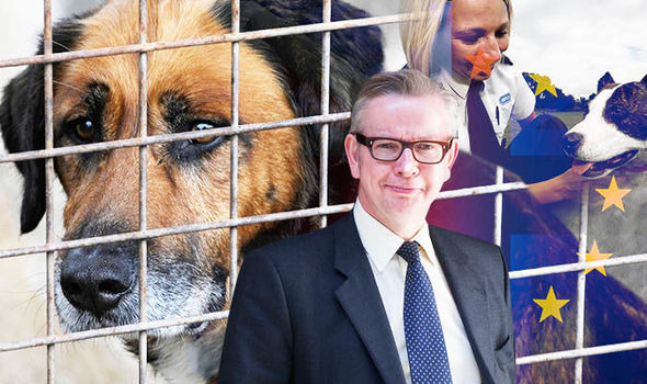 英國環境局長Michael Gove表示脫歐後的英國政府會將動物福祉標準提升，因為英國是個愛動物的國家。該國的新動物福祉草案中特別指出:“動物是有情生命，因此政府在擬定和執行政策時，必須考量到動物的福祉需求。”來源:The Express