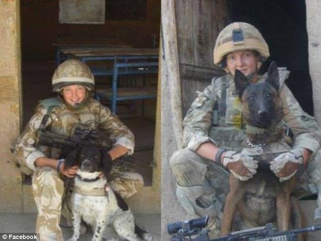 軍中沒有一套安樂死標準，只要指揮官的一聲令下，就可以決定退役軍犬的生死，讓很多曾一起出生入死的士兵，感到憤怒。 來源:The Daily Mail UK