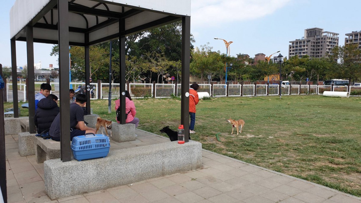 民眾帶著毛孩去公園遊玩。台中市政府/提供