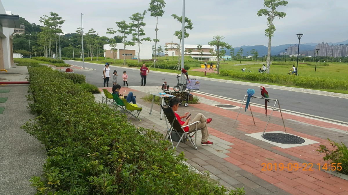 民眾聚集訓練鸚鵡。新北市政府/提供