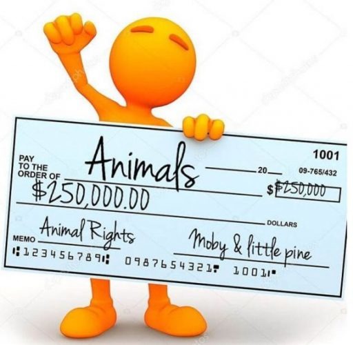 魔比(Moby)將他的素食餐廳全部收入，共25萬美金的善款捐給不同的動保團體。來源: Live Kindly