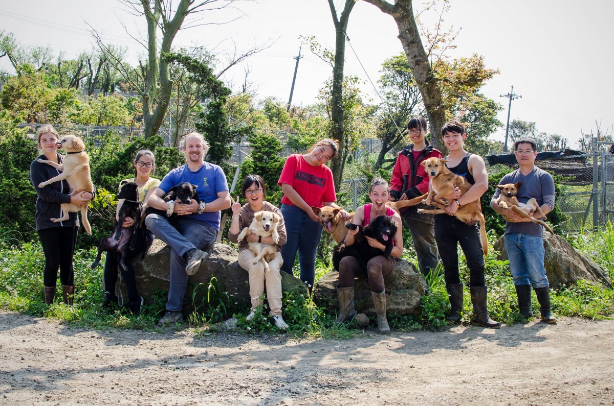 台灣巴克動物懷善救援協會位於三芝的狗園。林北/提供