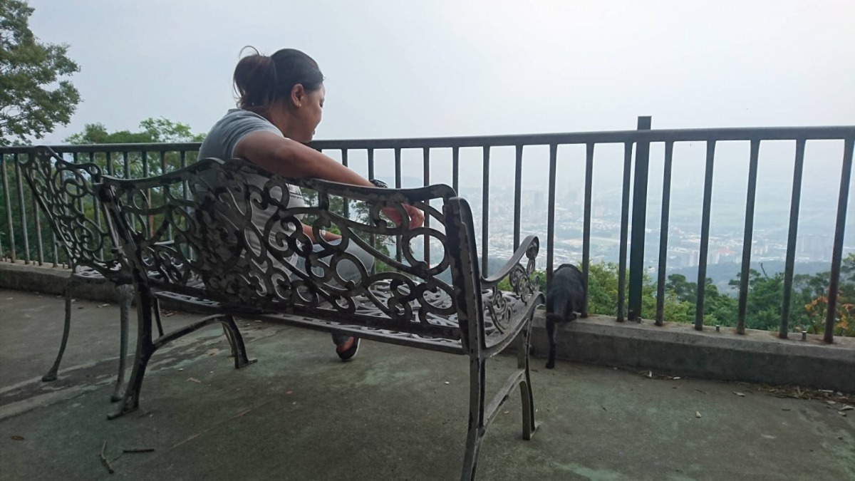 陪伴住戶一起在椅子上俯看淡水河