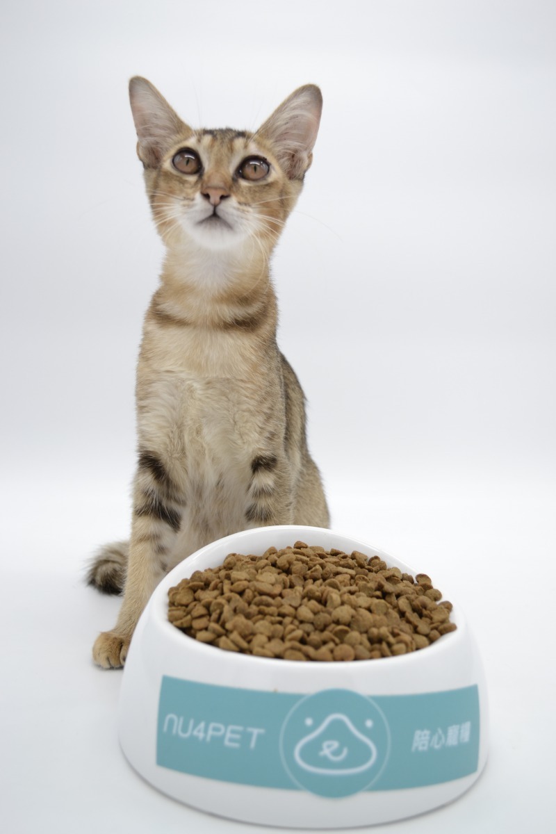 因應貓咪年齡、活動量、胖瘦程度的健康數據，量身打造具有完整營養成份的客製化貓糧。廠商/提供