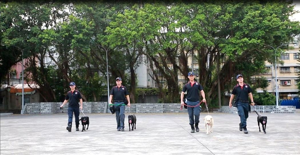 台中市警犬隊遴選4隻英文名字開頭字母為「T、C、P、B」警犬，和4名擔任訓犬員的特勤中隊警員培訓中。台中市警局/提供