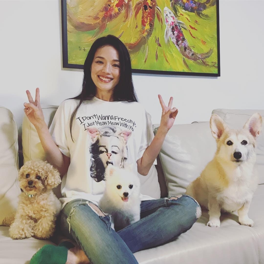 其實舒淇一向也是愛護動物之人,家中亦養有2隻貓貓。(Instagram@sqwhat)