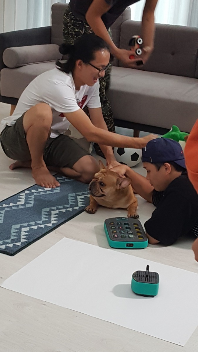 劉智豪從拍照經驗中學會如何讓動物完美上鏡。劉智豪/提供