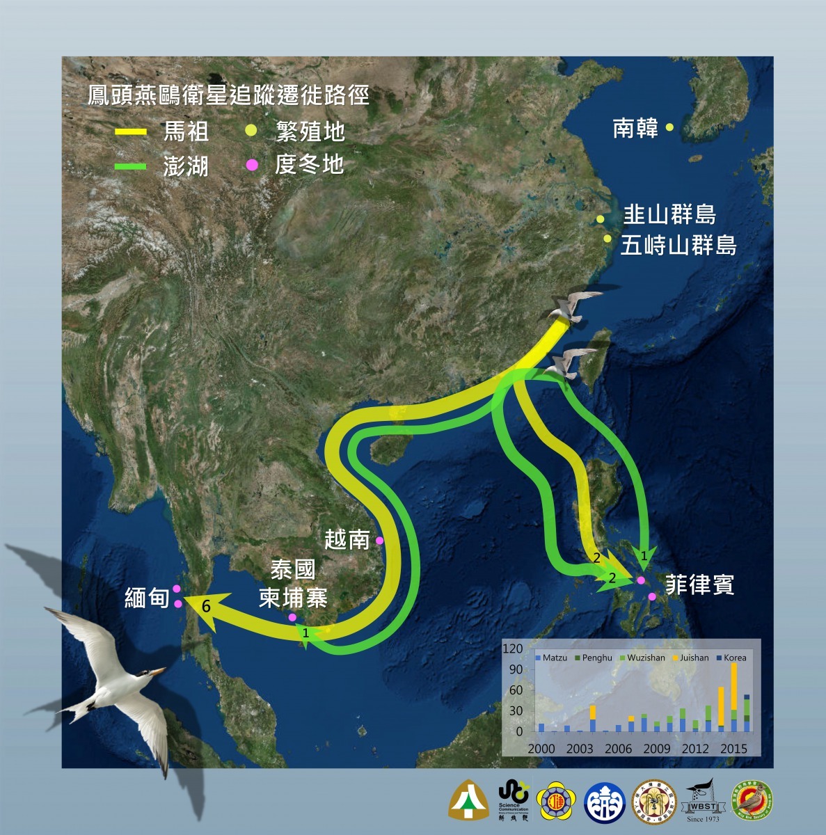 神話之鳥遷徒路徑。農委會林務局/提供