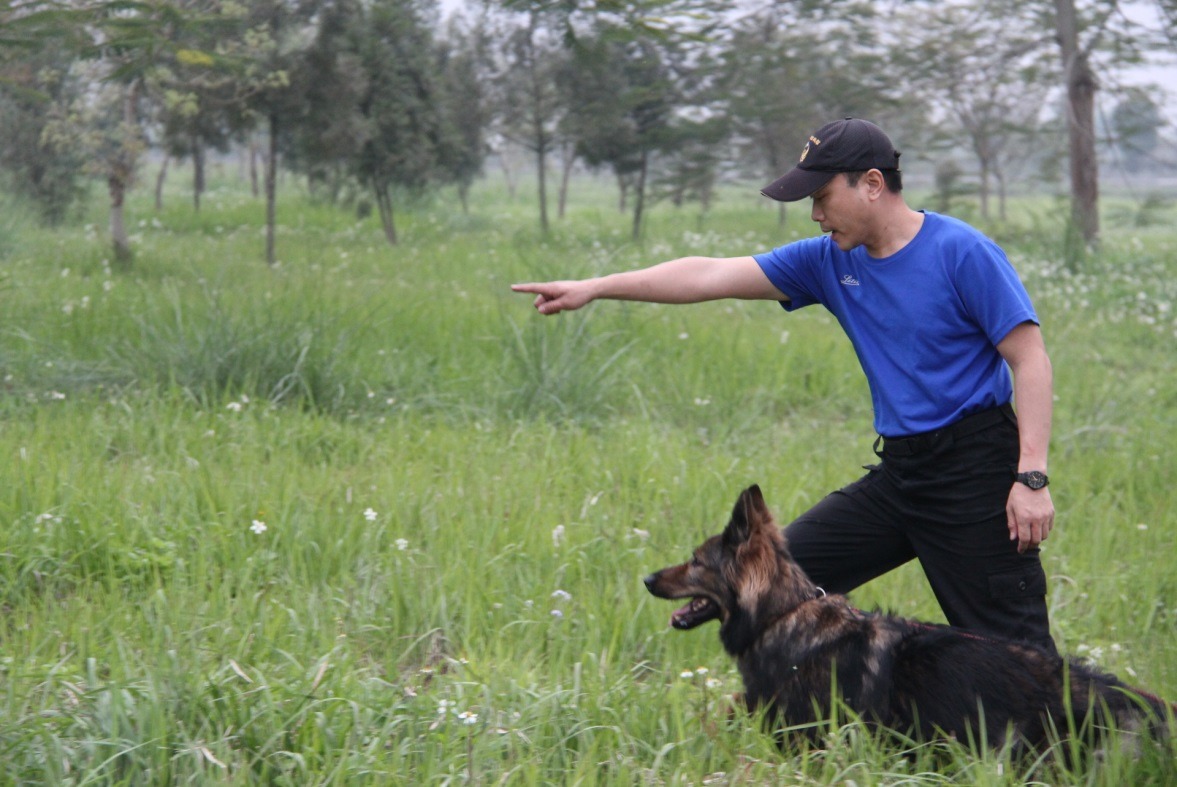 屆退的RUBY正募集愛心寄養家庭，台北市消防局希望RUBY獲得熱心愛犬家庭良好的生活照顧。台北市消防局/提供