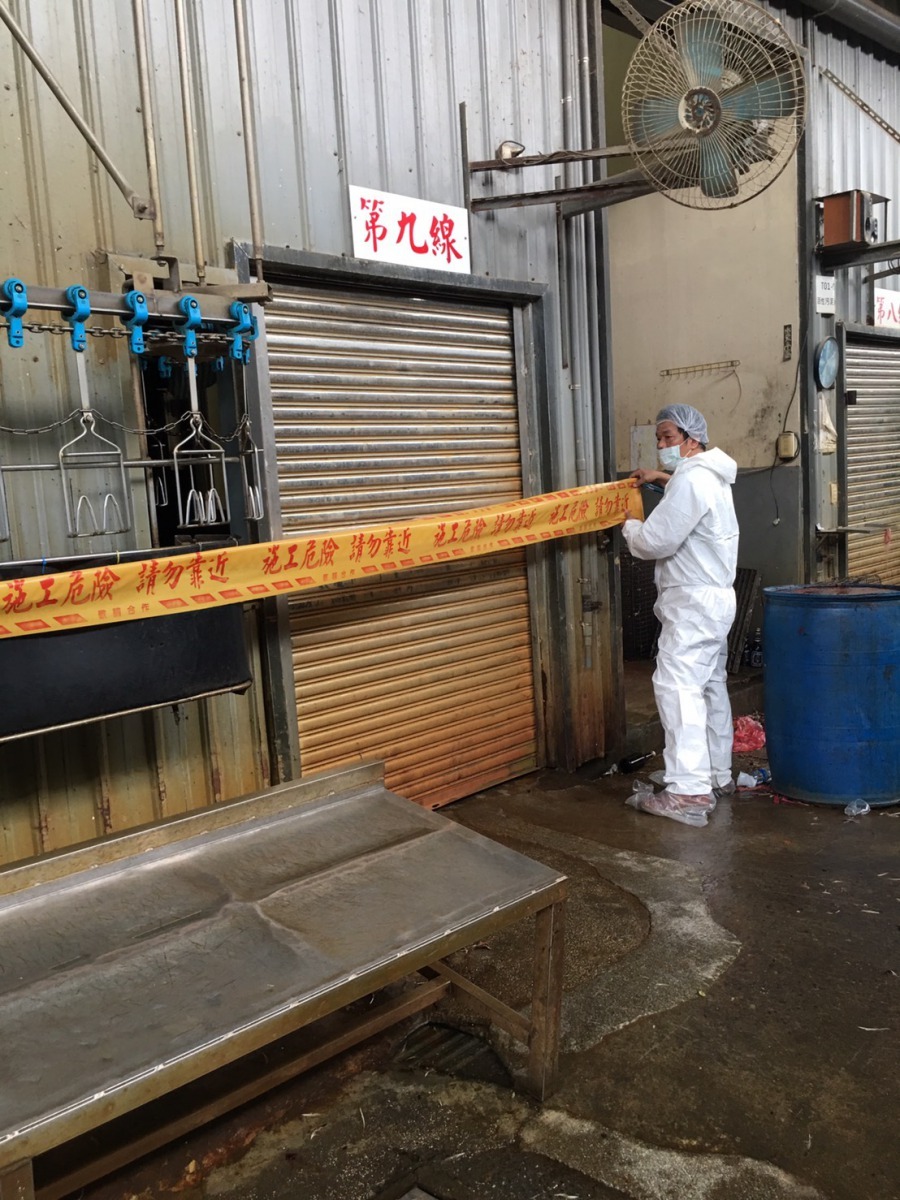 屠宰線停止作業8小時。新北市動保處/提供