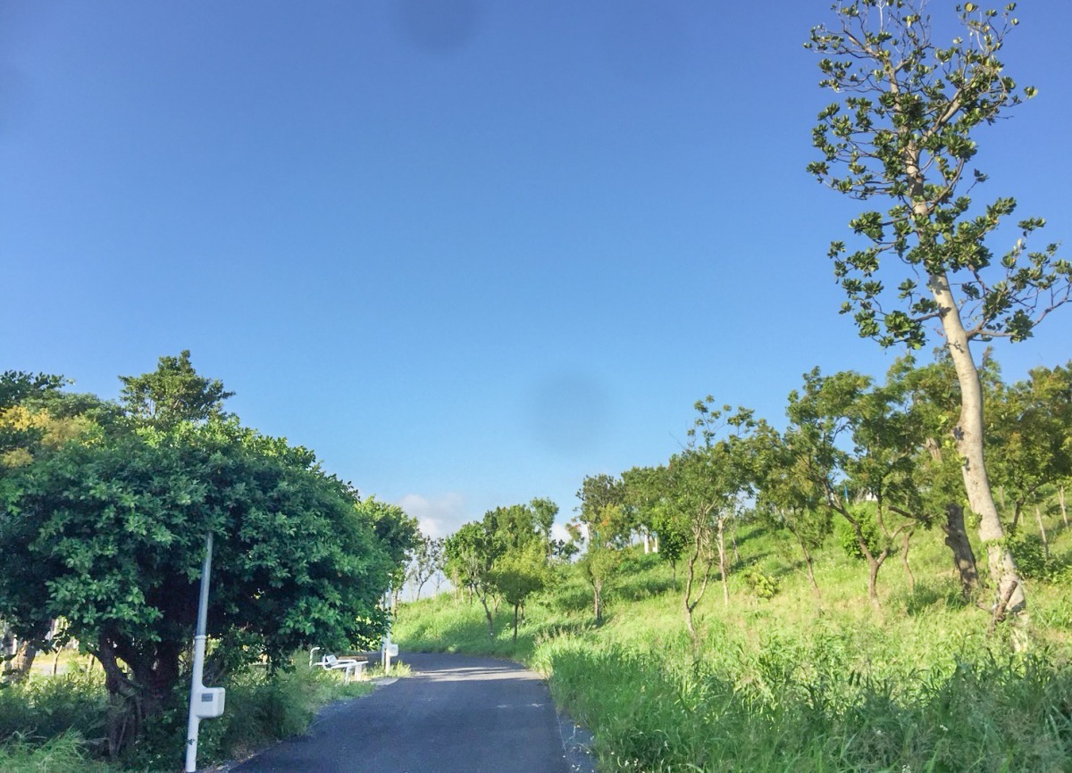 中央公園規劃有休憩、運動及親子等歩道,未來可讓民眾感受園區內舒適的氣候以及多元、豐富的動植物。台中市政府建設局/提供
