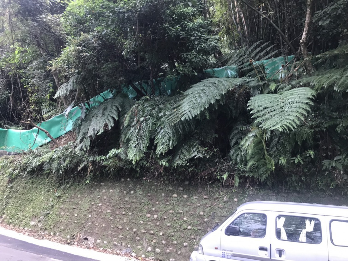 山坡設置誘導圍籬。新北市政府/提供