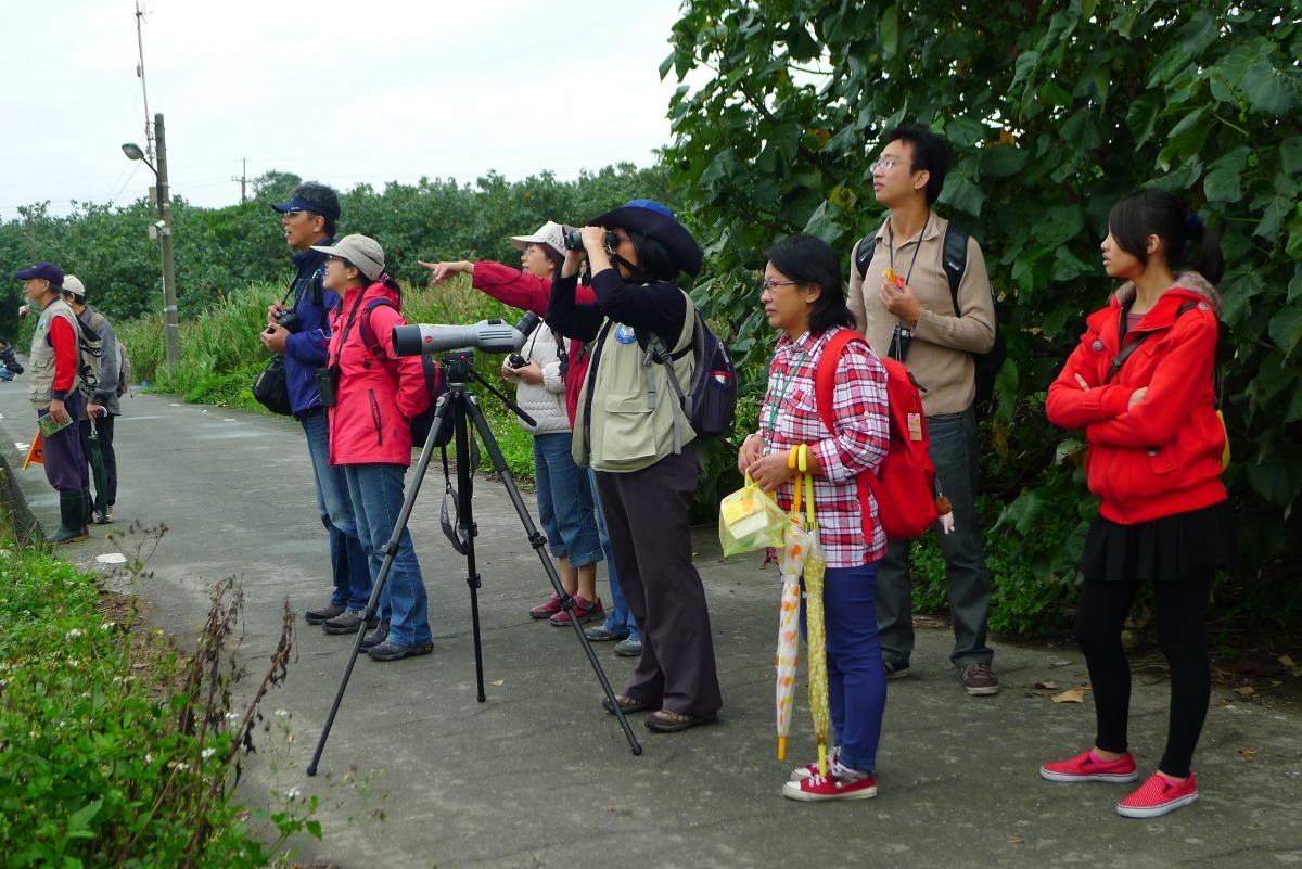 「挖子尾自然保留區」是著名的賞鳥聖地,每年都吸引許多愛鳥人士專程前來。新北市政府/提供