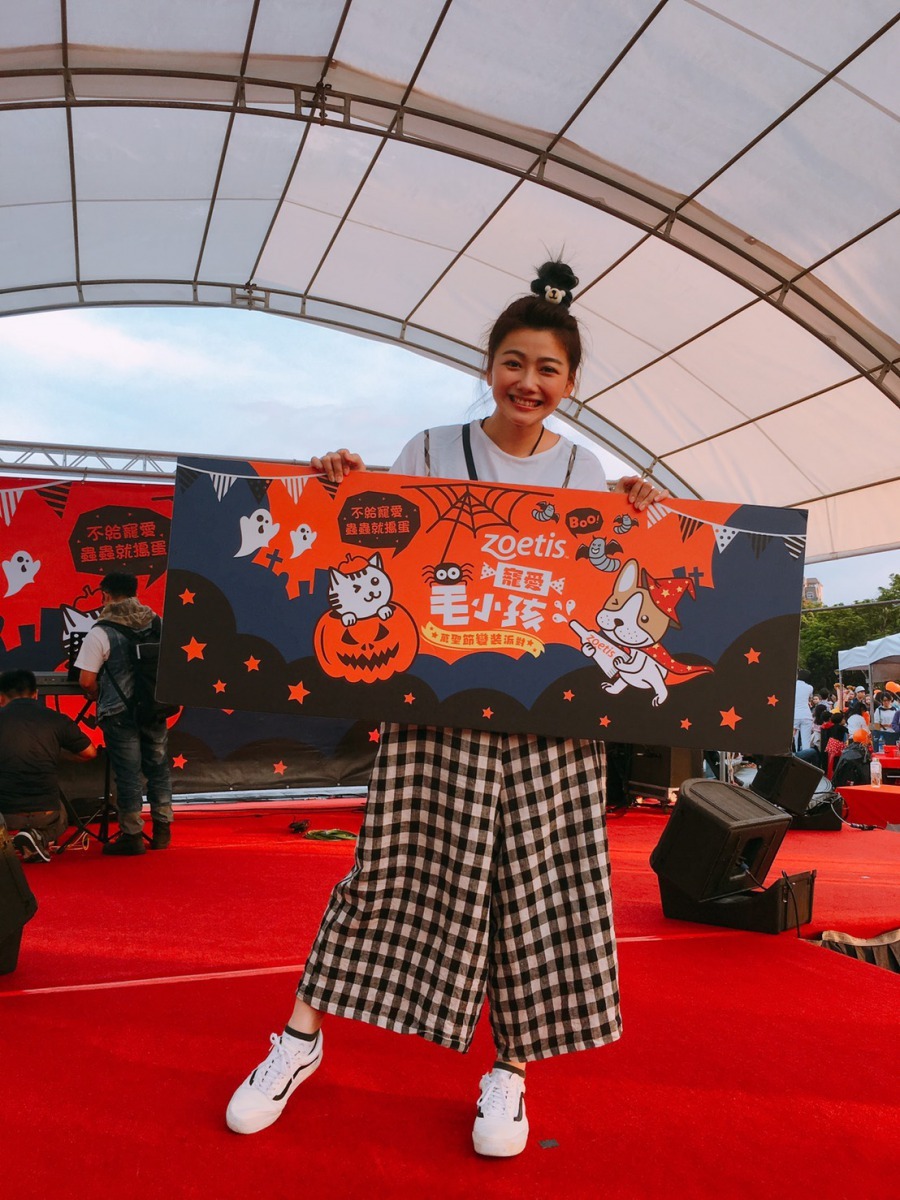 藝人邵庭家中飼養2隻柯基犬、6隻貓，籲飼主平時就要重視寵物健康。雨林/攝