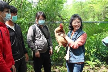 社會參與中心主任顧瑜君教授(右一)向同學示範如何抱雞