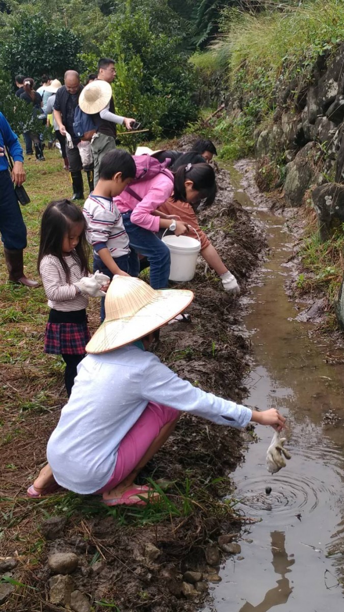 嵩山社區居民參與黃緣螢棲地整理工作。新北市農業局/提供