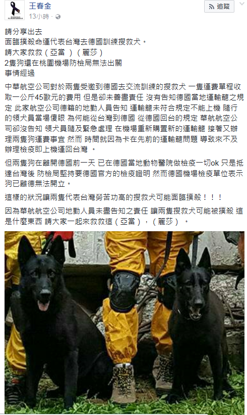 臉書貼文指出亞當和麗莎2隻搜救犬可能面臨被撲殺的命運。台灣動物新聞網資料畫面