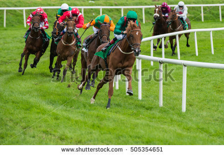 日前有媒體報導行政院同意境外賽馬，動保團體批評這是違法、黑箱作業。取自shutterstock