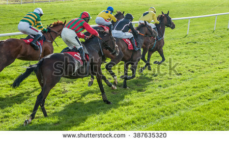 23日舉辦的「境外賽馬發行籌備座談會」，主動邀請相關動物保護團體、運動彩券經銷商、新加坡賽馬專家及法律專家學者等進行座談，聽取各方建議。取自shutterstock