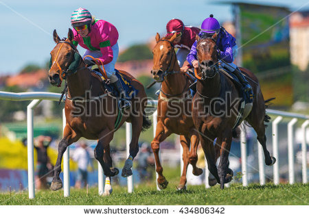 教育部體育署澄清，目前可行性仍在研議中，尚未核准發行。取自shutterstock