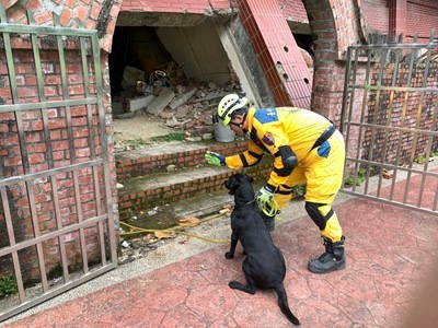 台中市及台北市消防局9位領犬員帶領12隻搜救犬參加搜救犬訓練。台中市政府/提供