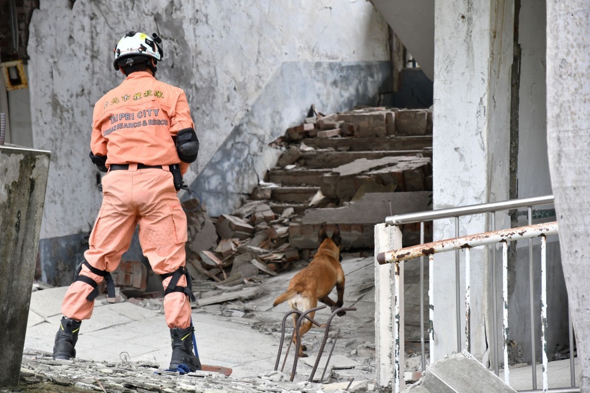 台北及台中搜救犬隊以通過年底「國際搜救犬組織」將在台灣辦理的MRT測驗為目標，雙方交流訓練技術及救災經驗。台中市政府/提供
