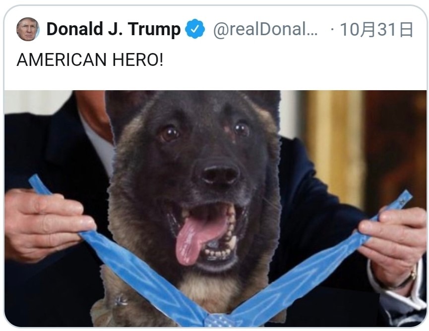 追捕ISIS首腦巴格達迪建功的軍犬Conan將至白宮領獎，此為每日電訊報（Daily Wire）合成的示意圖。 取自Twitter