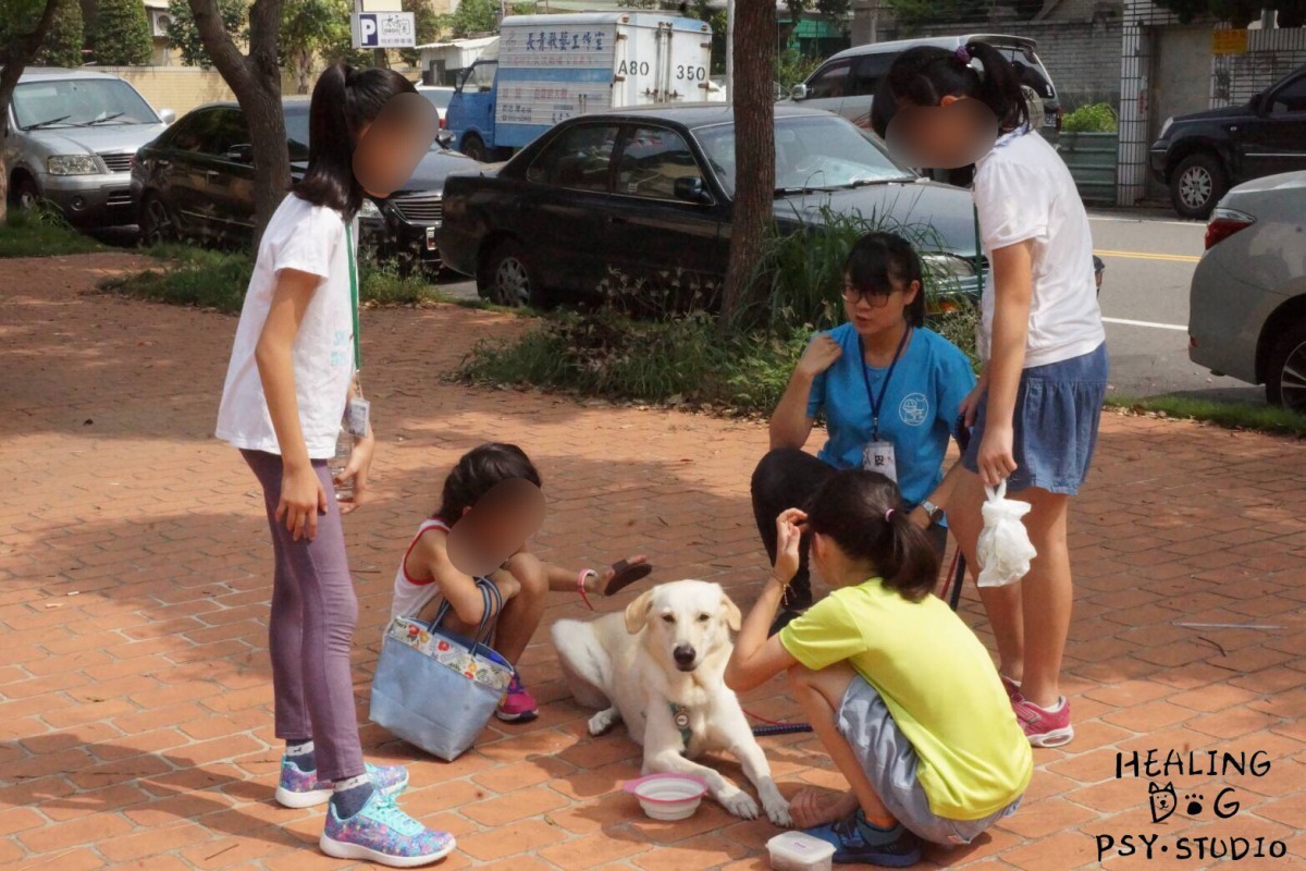 讓人與狗在平 等的情況下，彼此建立信任感，在足夠的時間下認識彼此而產生互動，進而讓兒童發展出對動物的尊重與喜愛。圖/「與狗相癒—療癒犬心理工作室」提供