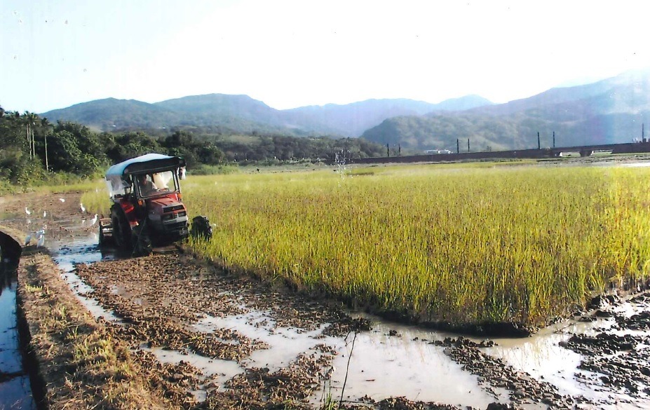 田寮洋已紀錄鳥種高達260種,為本島各重要濕地之冠。新北市農業局/提供