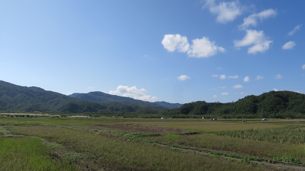 田寮洋水田。新北市農業局/提供