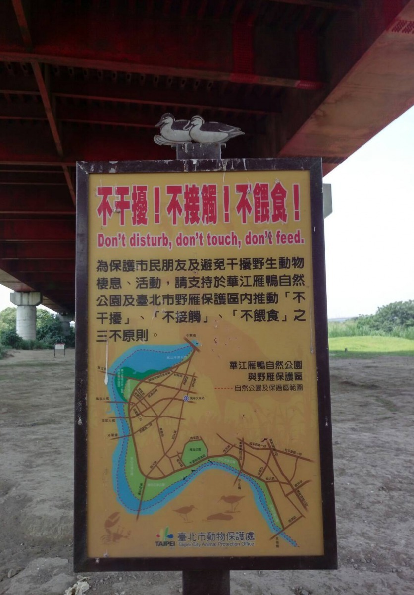 北市動保處呼籲民眾於野雁保護區及華江雁鴨自然公園內應遵守「不干擾」、「不接觸」、「不餵食」三不原則，勿餵食動物。台北市動保處/提供