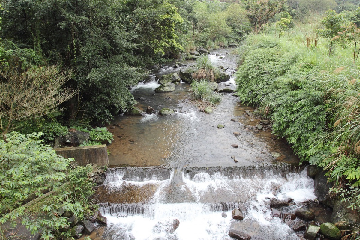 員潭溪上游(麻竹腳橋)。新北市政府農業局/報導